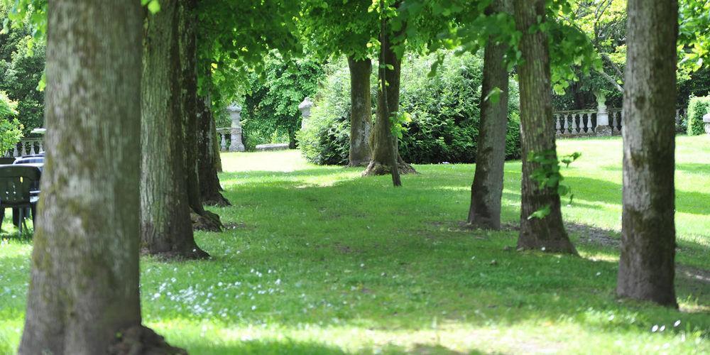 Romantik Hotel Schloss Hohenstein Ahorn  外观 照片